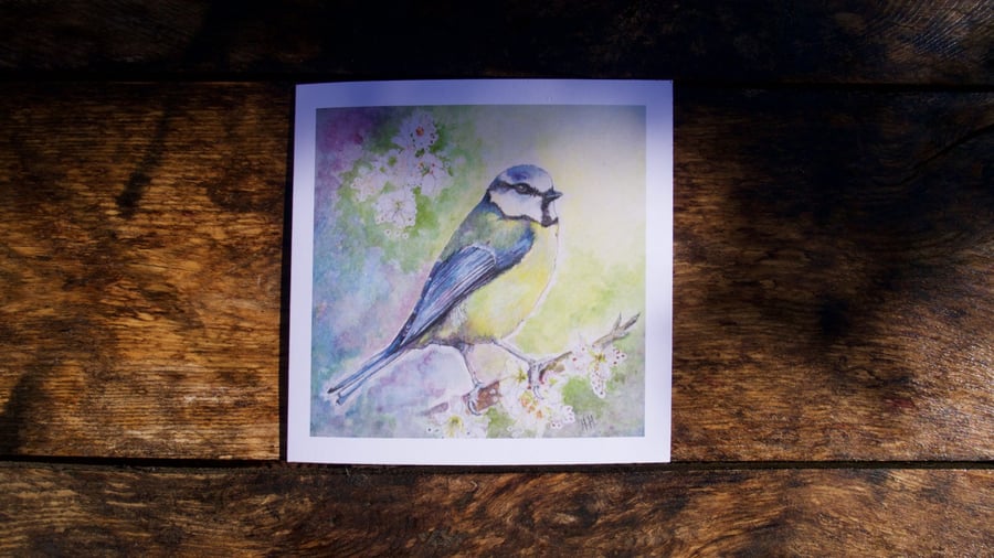 Pack of 5 Bluetit Greetings Cards, Notelets, 