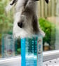 Lurcher Hound Bottle Topper Felted - Image 4
