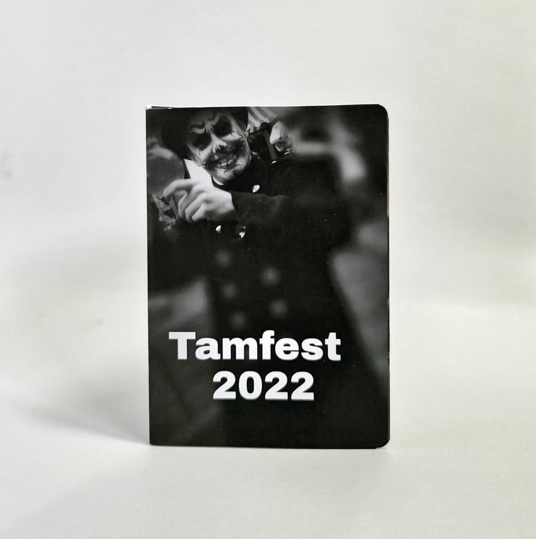Mini A7 Photo Zine, Tamfest 2022 Ayr, eight of my own photographs