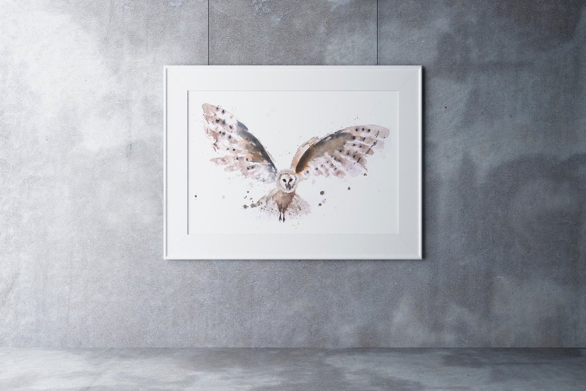 Barn Owl Watercolour Painting, Signed Limited Edition Print by Syman Kaye