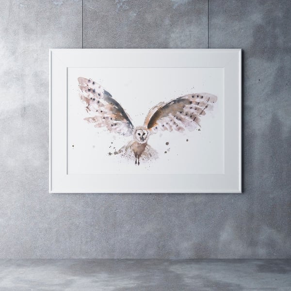 Barn Owl Watercolour Painting, Signed Limited Edition Print by Syman Kaye