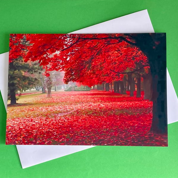 Autumn at Clumber Park Nottinghamshire - Photographic Print Greetings Card