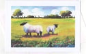 Art Greetings Cards