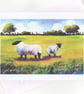Sheep, Welsh landscape, Art Greeting Card, A5, Blank inside, For any occasion