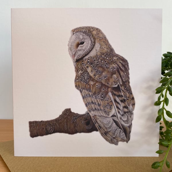 Owl Greeting Card