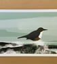 Dipper - bird art print - Image 2