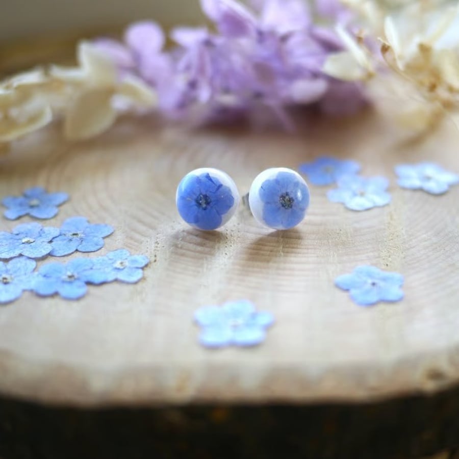 Real Forget-Me-Not and Resin Stainless Steel Stud Earrings