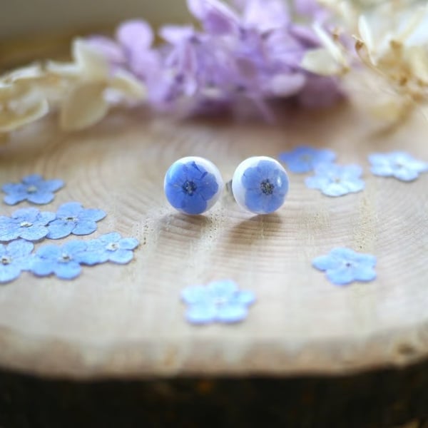 Real Forget-Me-Not and Resin Stainless Steel Stud Earrings