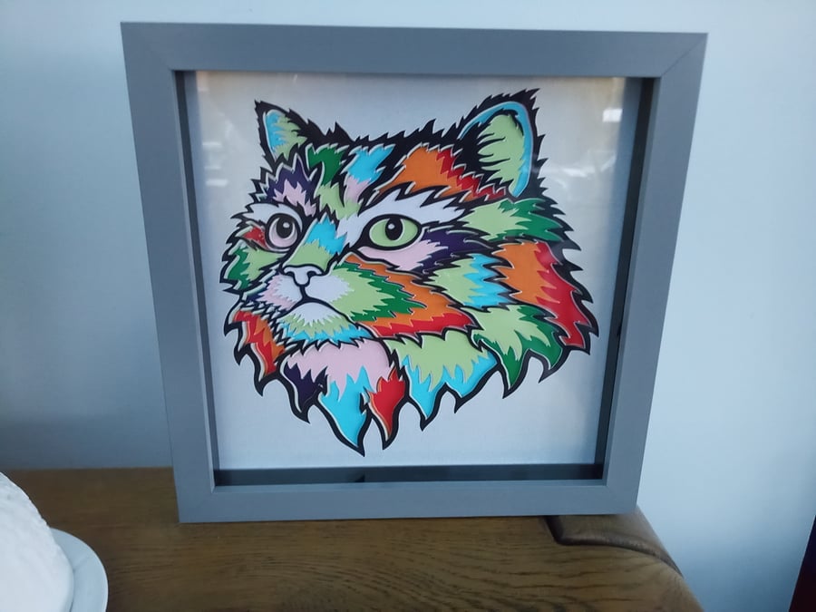 Domestic Cat, Multi Layered Shadow Box, wall art, made in Scotland