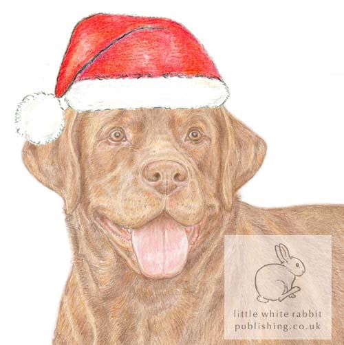 Bruno the Chocolate Labrador - Christmas Hat Card