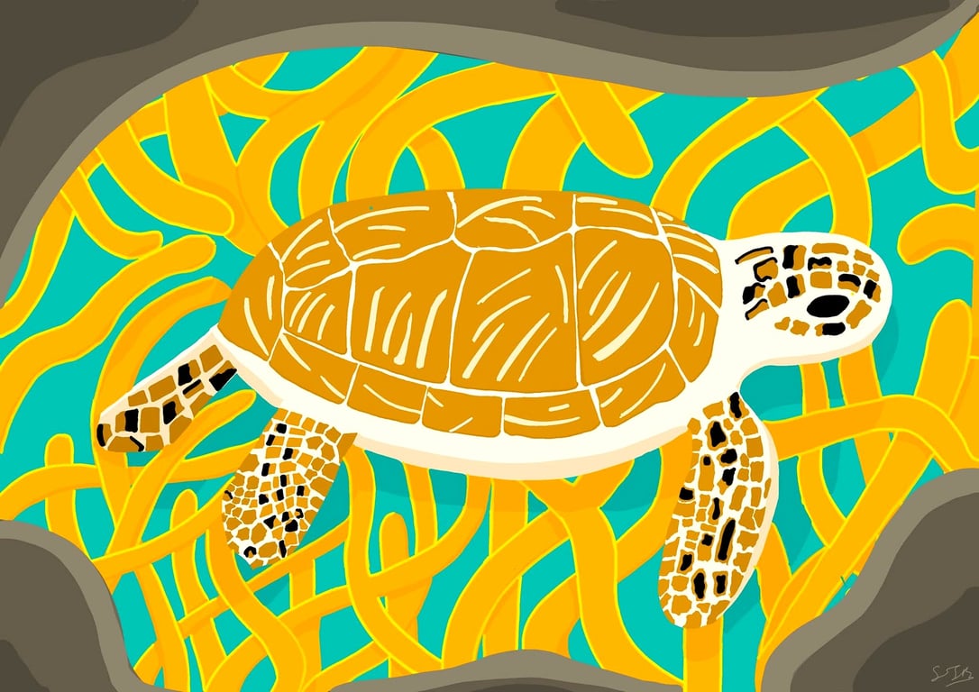 Turtle cove, animal A4 print, blue,orange