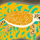 Turtle cove, animal A4 print, blue,orange