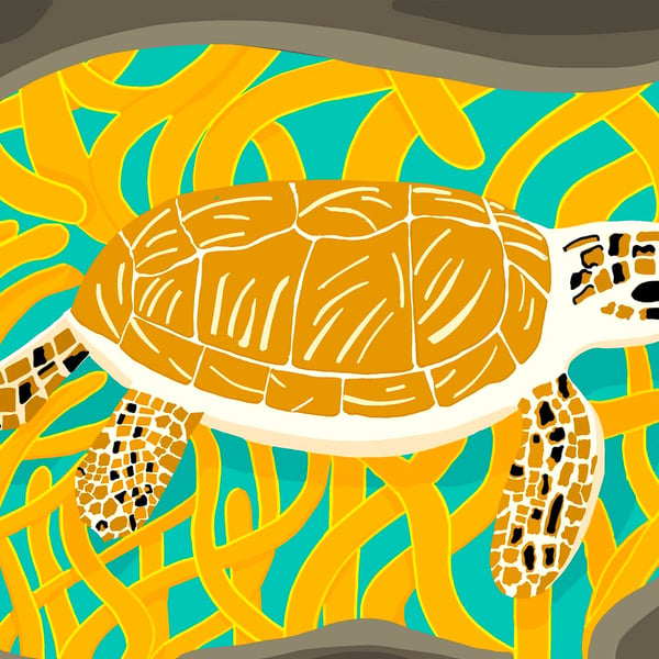 Turtle cove, animal A4 print, blue,orange