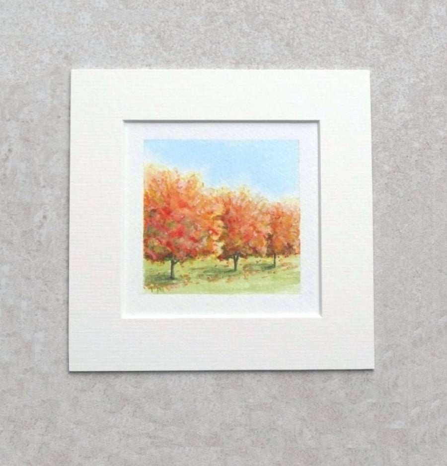 Original Watercolour Miniature Painting 'Autumn Red' - 6" X 6" Mount