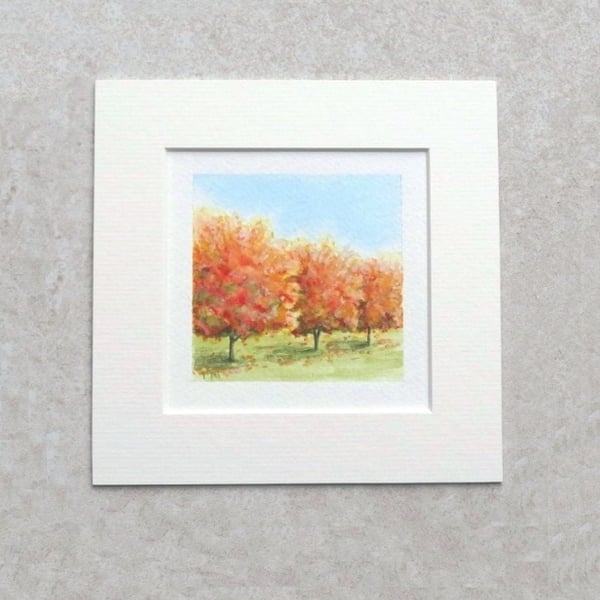 Original Watercolour Miniature Painting 'Autumn Red' - 6" X 6" Mount