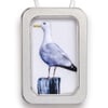 Seagull, little fabric seagull picture framed in tin, gift, ornament
