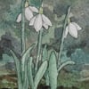 ACEO Original watercolour Snowdrops
