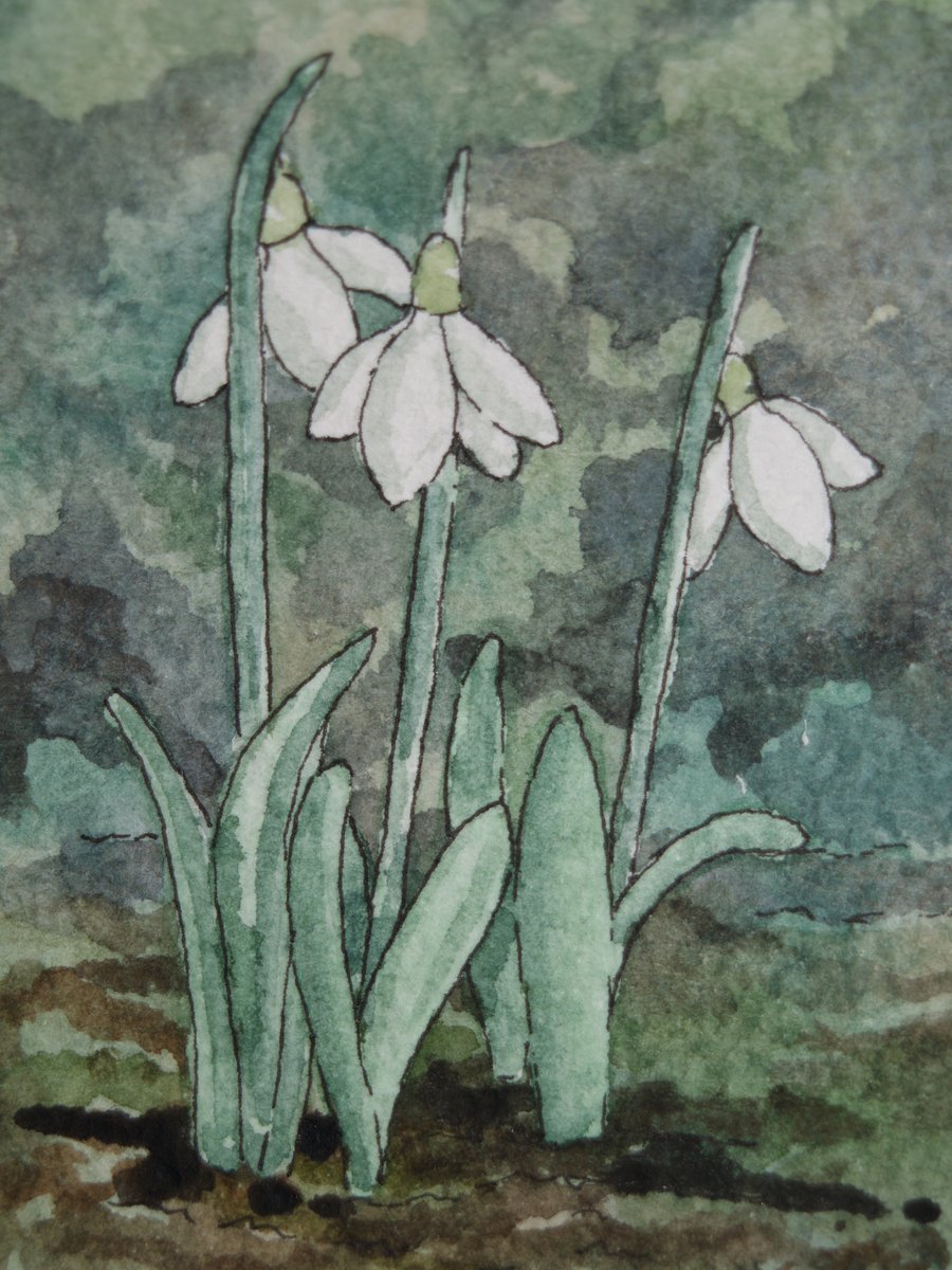 ACEO Original watercolour Snowdrops