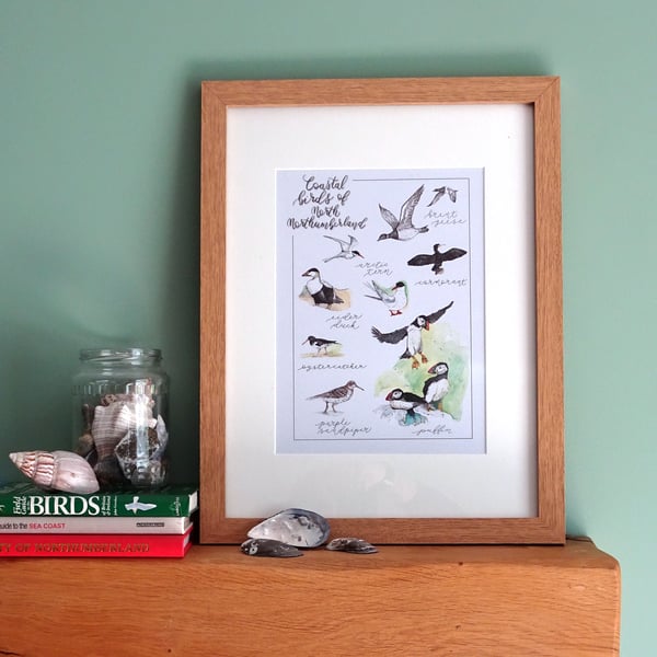 Coastal Birds of North Northumberland Illustrated Art Print (A4)