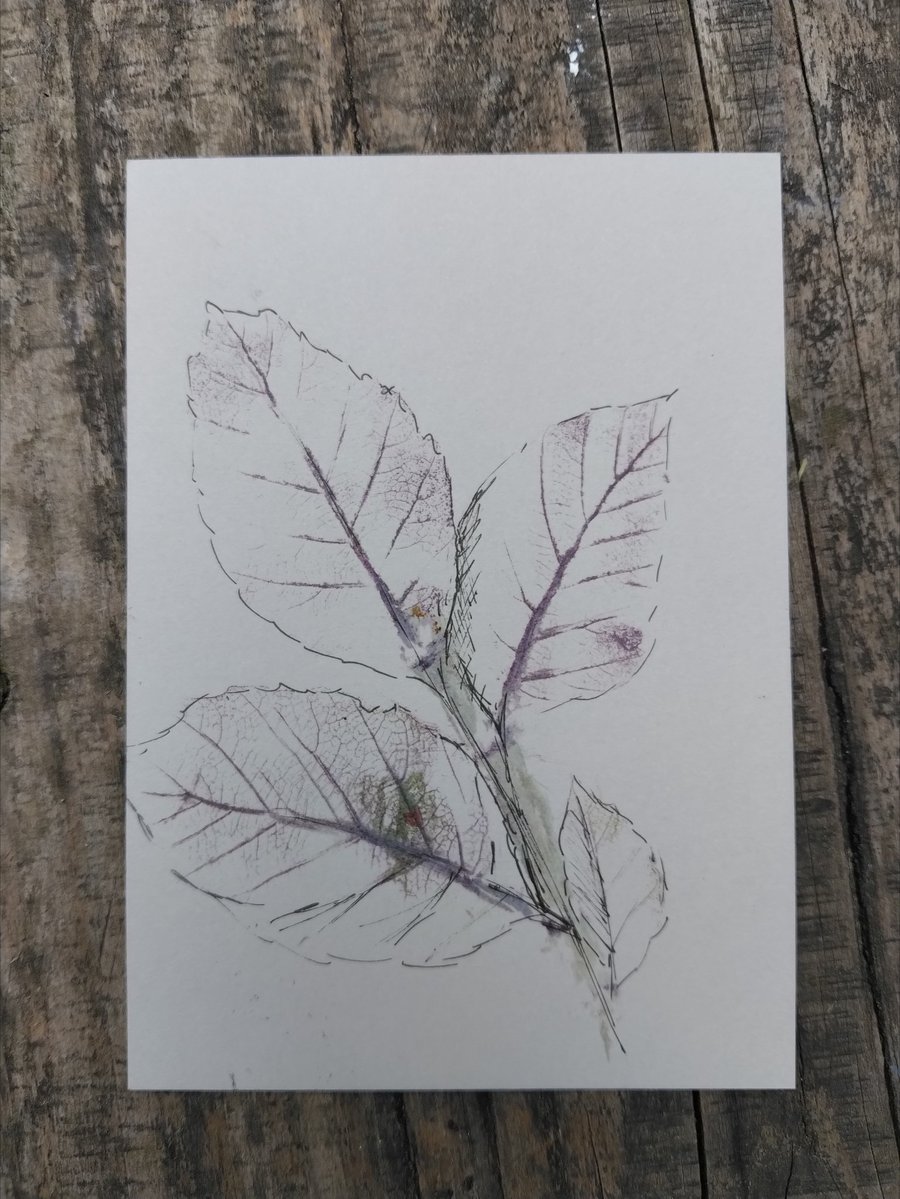 Hammered leaf picture red beech