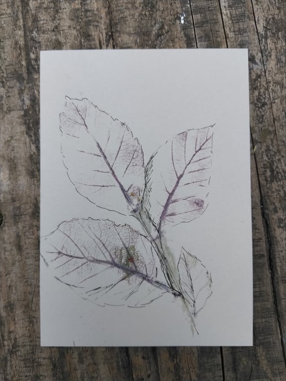 Hammered leaf picture red beech