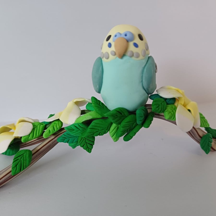 Budgie on Branch 