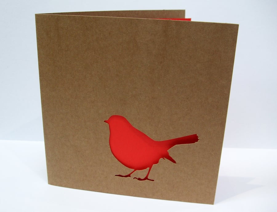 Robin Christmas Card