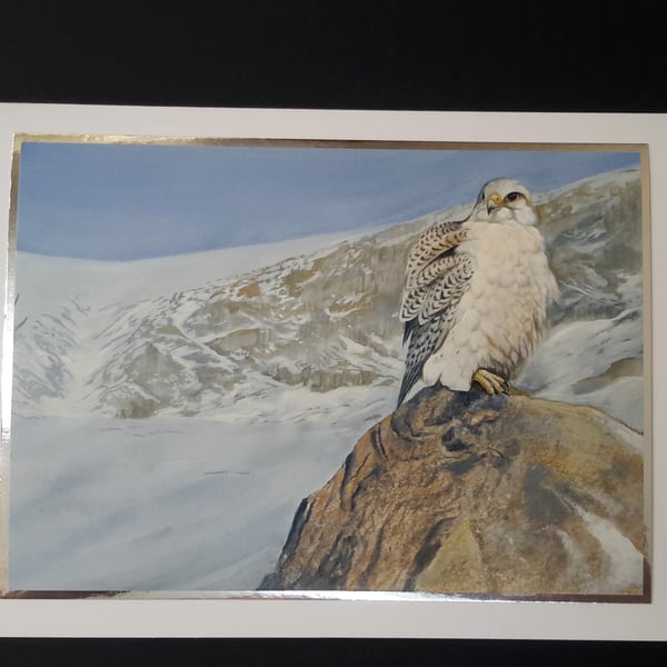 Falcon Bird of Prey Blank Greeting Card - Artwork by Pollyanna Pickering