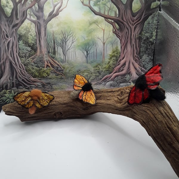 Moth Brooch 