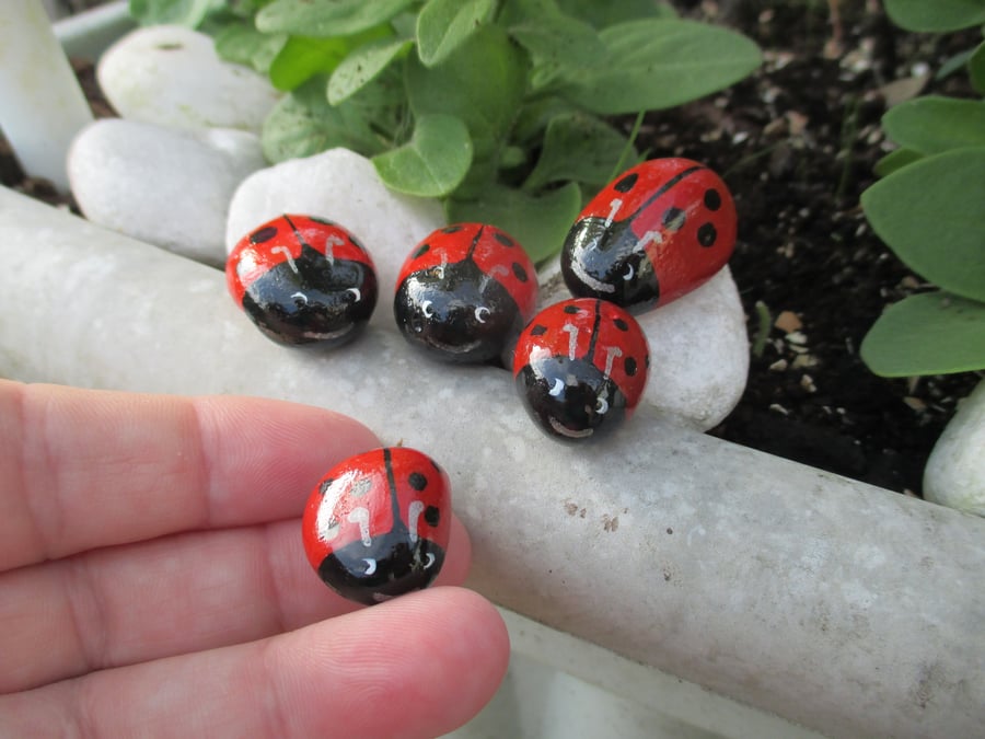 Painted Pebble Rock Stone Ladybird Family x 5 Pot Topper Garden Ornament Fairy 4