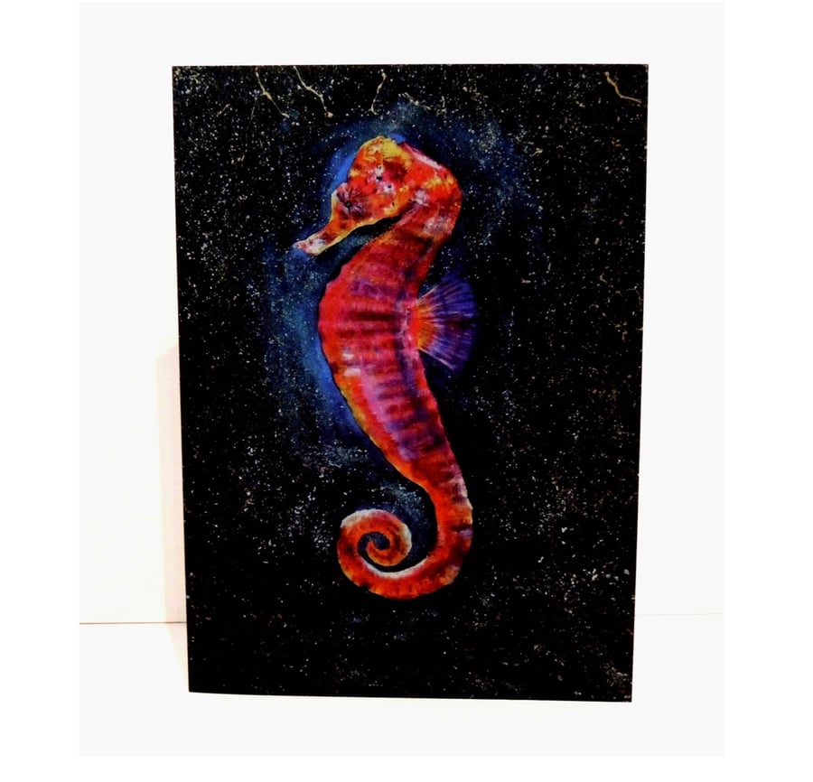  Pack of 5 Greeting Cards Red Seahorse Ocean Life