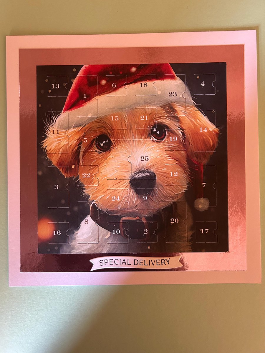 Puppy eyes at Christmas Advent Calendar Card Handmade 8 inch square card, Santa 