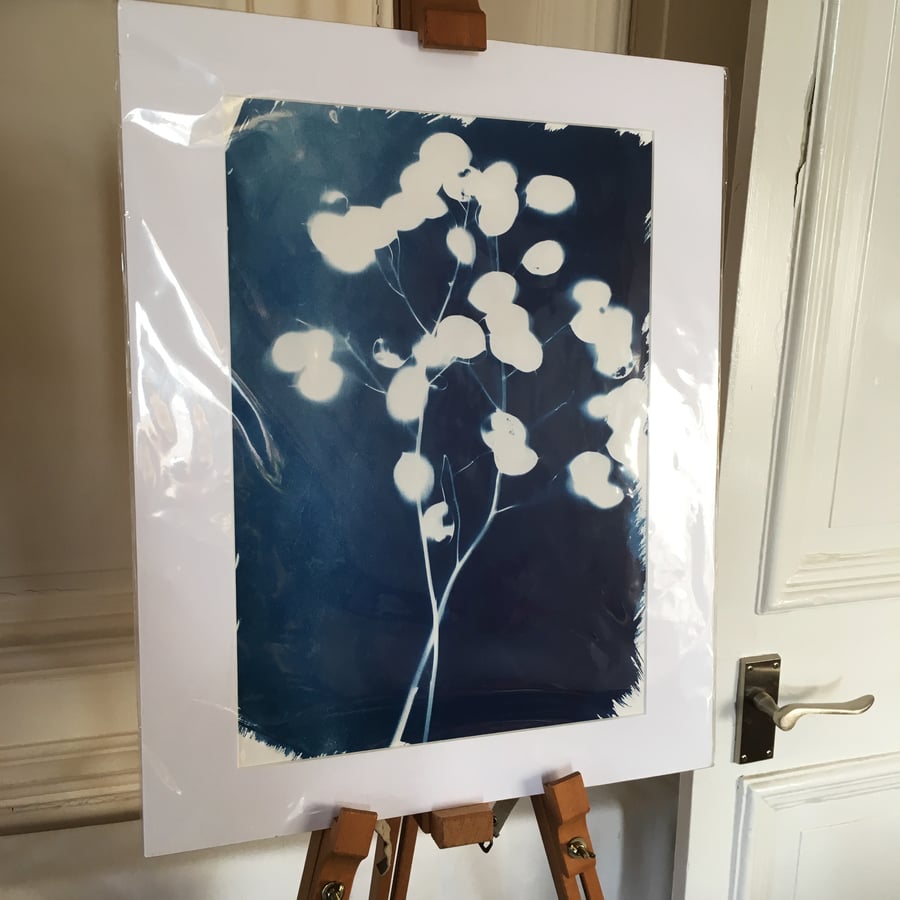 Cyanotype Large Mount (1)