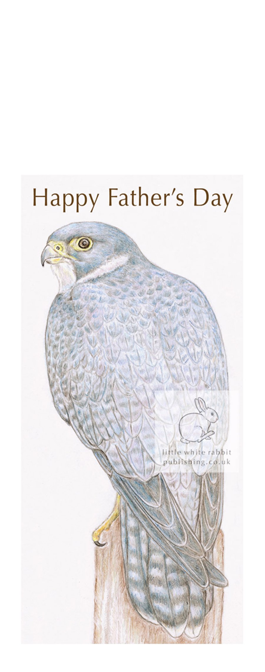 Peregrine Falcon - Father's Day Card