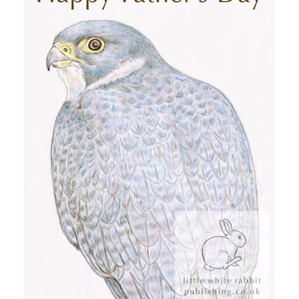 Peregrine Falcon - Father's Day Card
