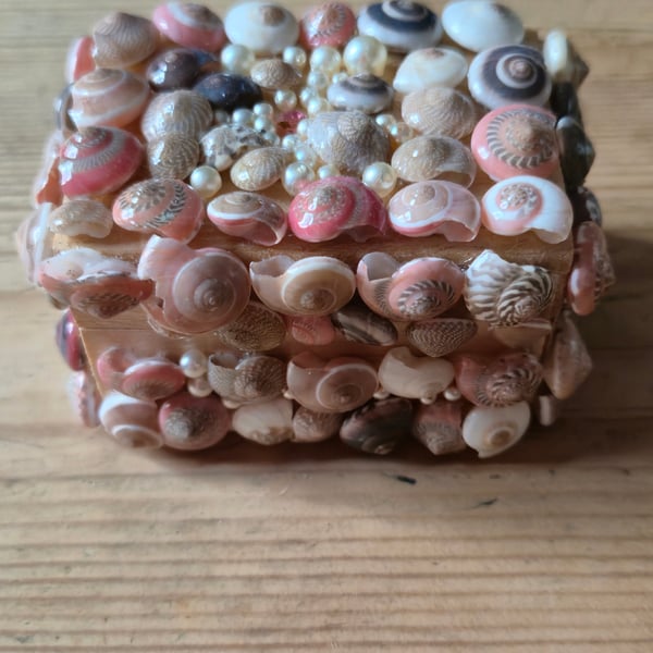 Small shell box 