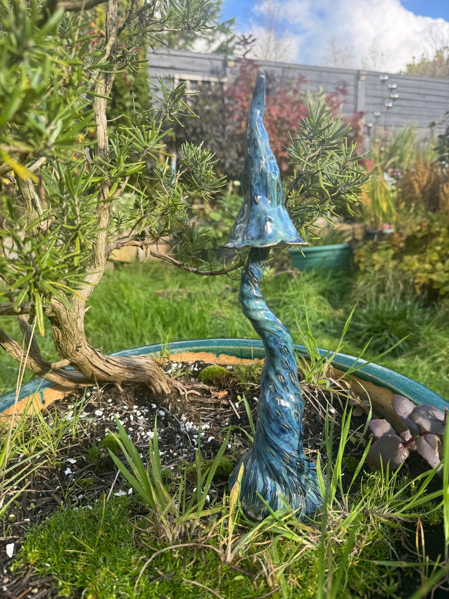 Starry night mushroom