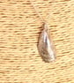 Its all about the Mussel - PMC Silver Mussel Handmade Pendant Necklace - Image 7