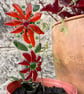 Red flower glass plant stake suncatcher