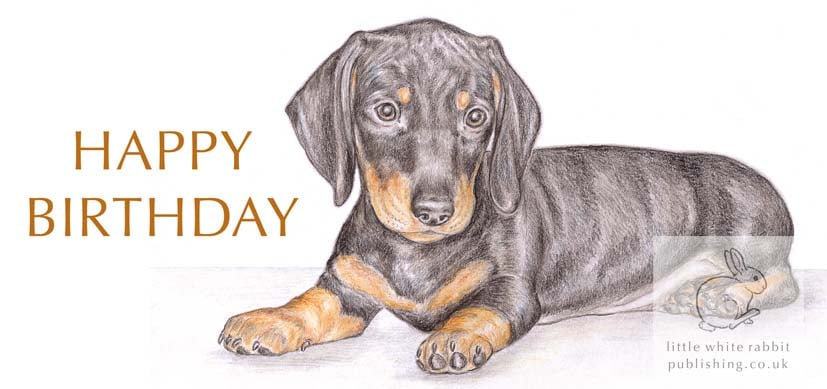 Henry the Dachshund - Birthday Card