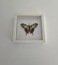 Original Papercraft Specimen-style - Swallowtail Butterfly - Image 3