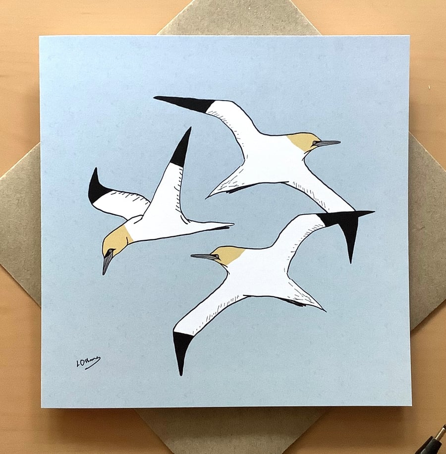 Greetings card - gannets - seabirds