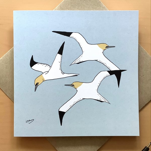 Greetings card - gannets - seabirds
