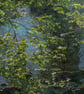 'What The River Says (1)' - Image 6