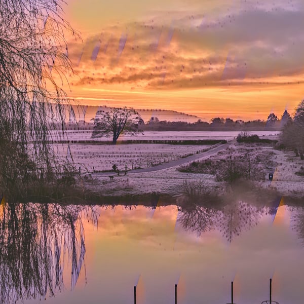 Winter Morn - A High Quality Rolled Canvas Print