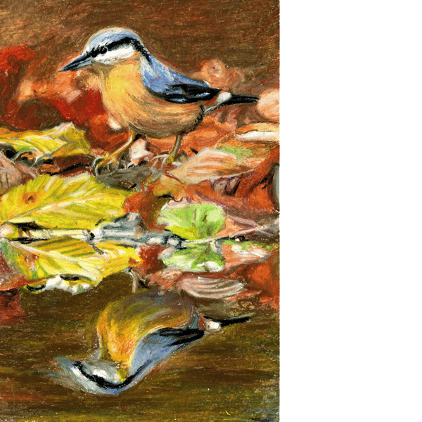 Autumn Nuthatch. Original painting in oil pastels.