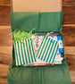 Dinosaur story and craft box - Image 1