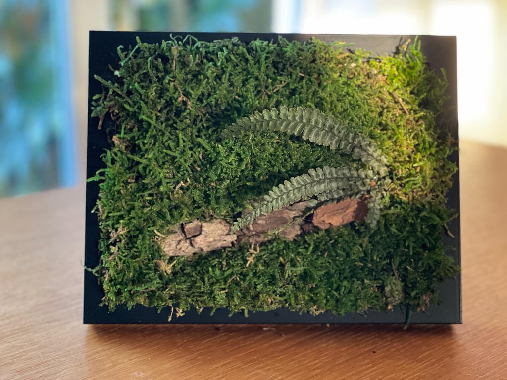 Framed Forest Vignette 