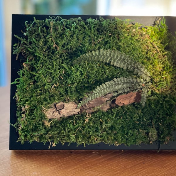 Framed Forest Vignette 