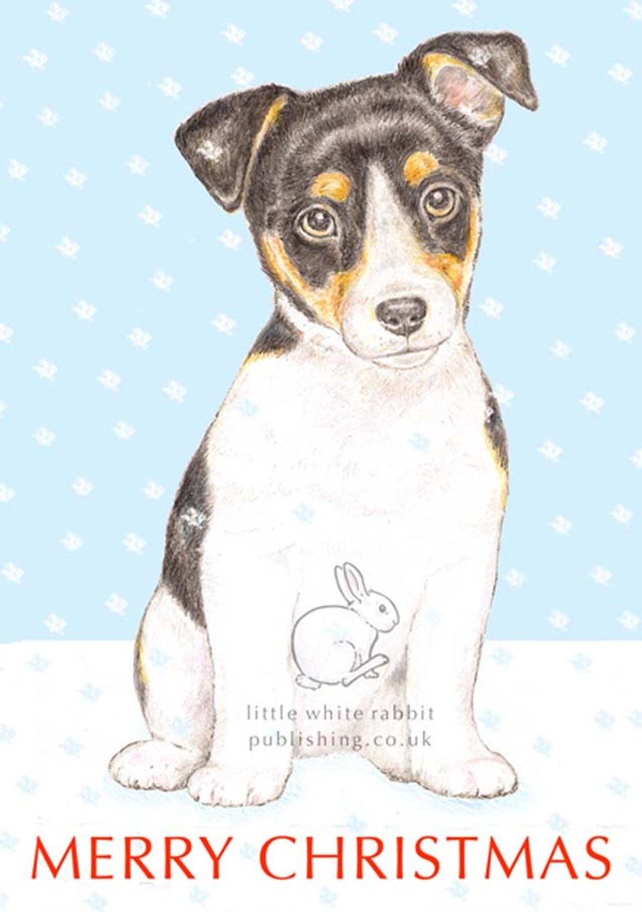 Jack the Jack Russell - Christmas Card